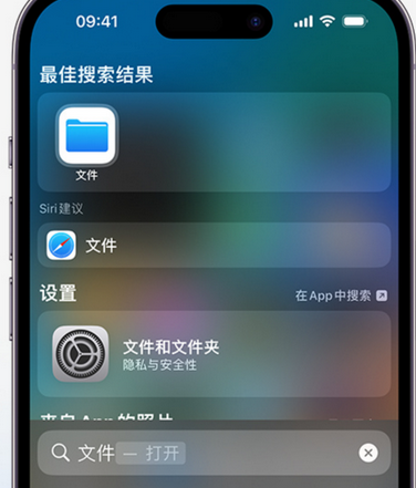 凤庆apple维修中心分享iPhone文件应用中存储和找到下载文件