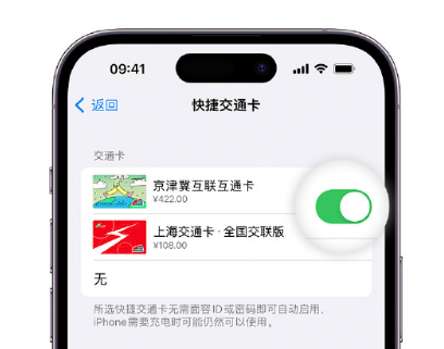 凤庆apple维修点分享iPhone上更换Apple Pay快捷交通卡手绘卡面 