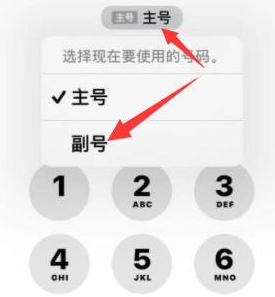 凤庆苹果14维修店分享iPhone 14 Pro Max使用副卡打电话的方法 