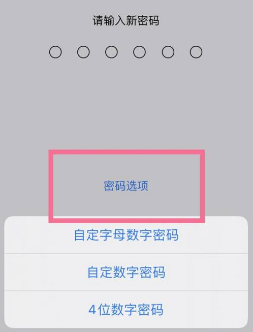 凤庆苹果14维修分享iPhone 14plus设置密码的方法 