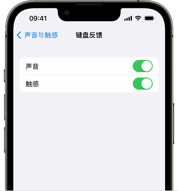 凤庆苹果14维修分享iPhone 14 系列机型如何开启键盘声音或触感反馈 