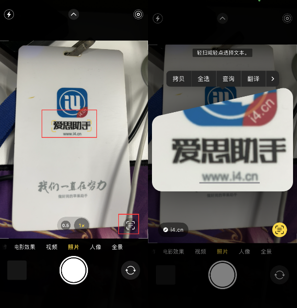 凤庆苹果手机维修分享升级iOS 16后如何通过相机翻译文本 