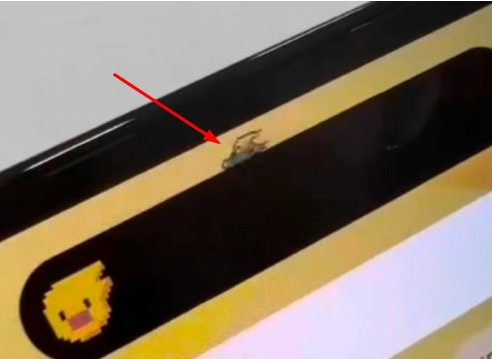 凤庆苹果14维修分享iPhone 14 Pro Max灵动岛怎么养宠物 