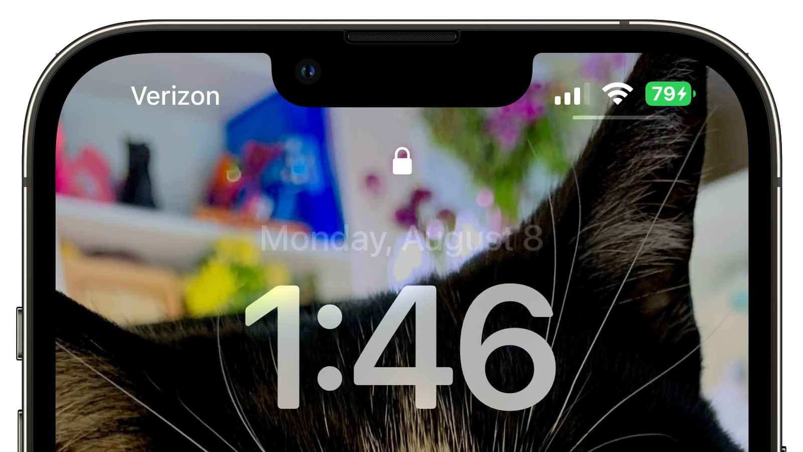 凤庆苹果手机维修分享iOS 16 beta 5 支持状态栏显示电池百分比，如何开启？支持哪些机型 