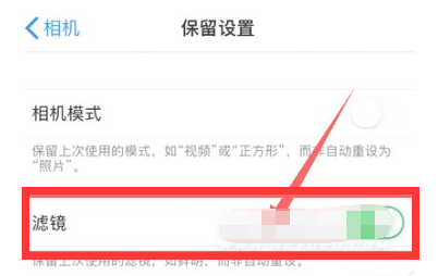 凤庆苹果13维修分享iPhone13拍照有绿点是怎么回事 