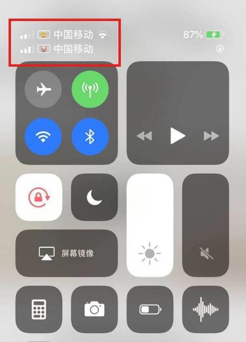凤庆苹果手机维修分享为 iPhone 12 双卡设置标签 