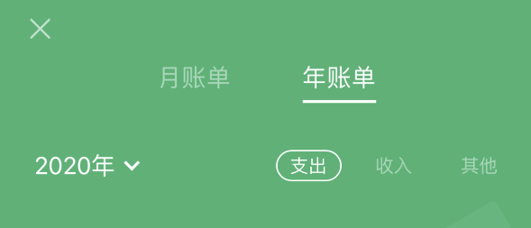 凤庆苹果手机维修分享如何在 iPhone 上查看支付宝和微信年支出账单 